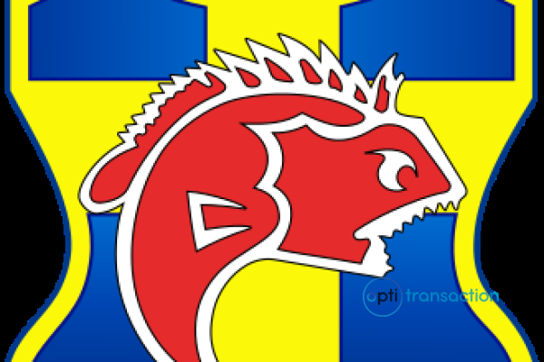 Logo_SC_Toulon.svg.png